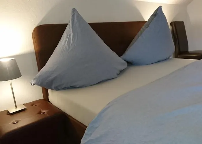 An Der Gruenen Donau - Ferienwohnung, Monteurwohnung, Wir Bieten Keine Parkplaetze, Verpflegung Oder Tuecher An, Parken Nur Gegenueber Auf Der Strassenseite ホームステイ Immendingen